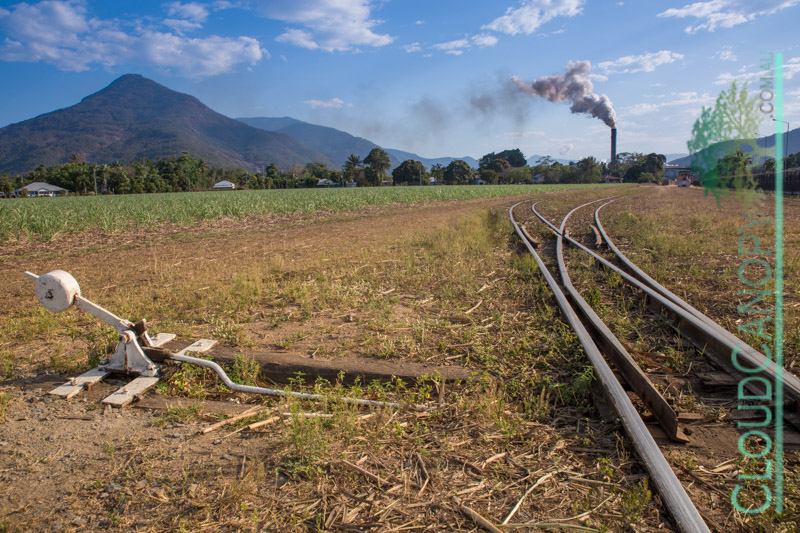 Cane Tramline and Mulgrave Mill