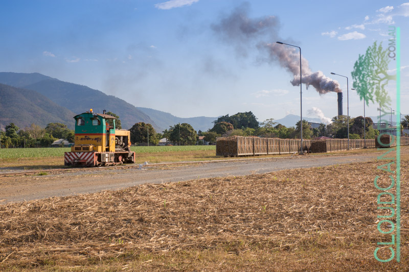 Cane Tramline and Mulgrave Mill