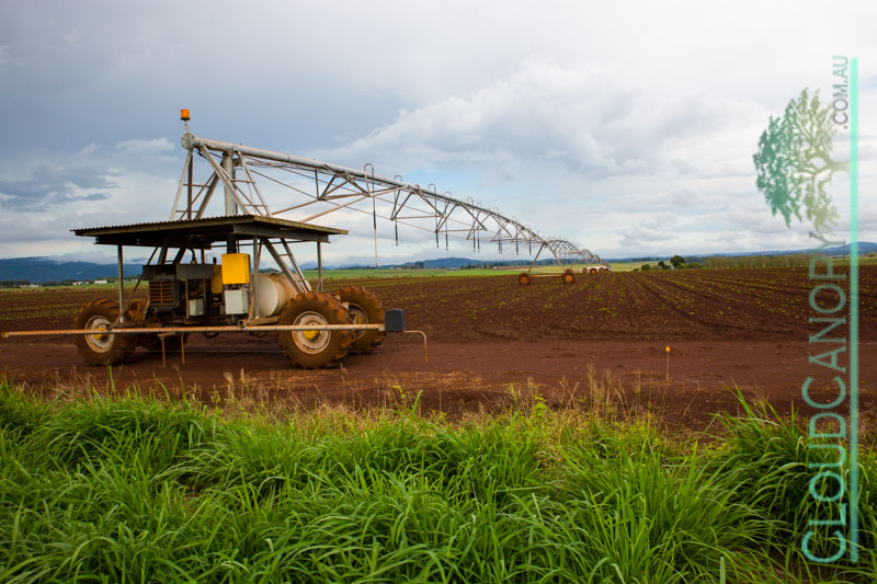 Motor Driven Irrigator
