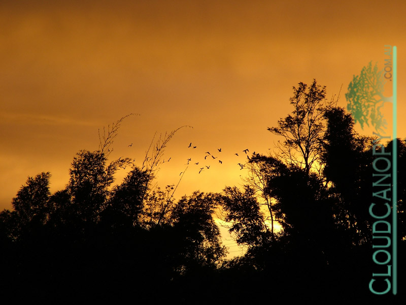 Sunset, Yungaburra
