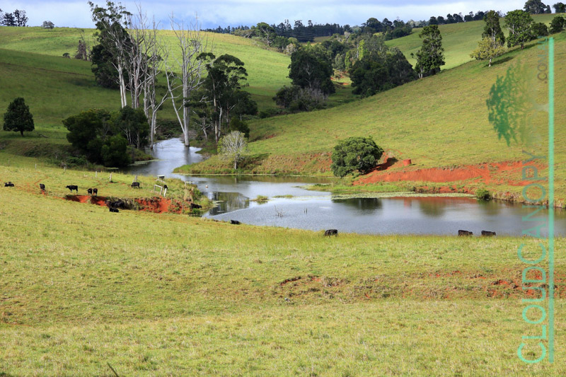 Rural scene, Wondecla