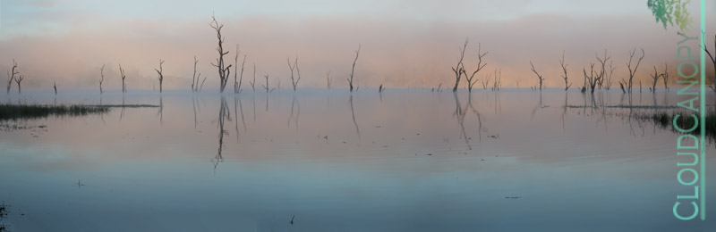 Dawn, Lake Tinaroo