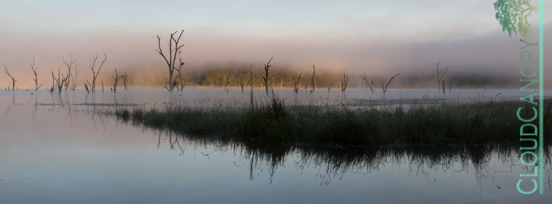 Dawn, Lake Tinaroo
