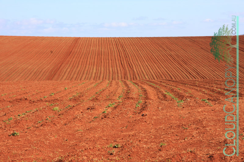 Newly ploughed field, Evelyn Central