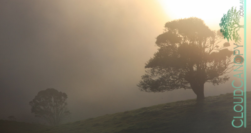 Morning, Ravenshoe