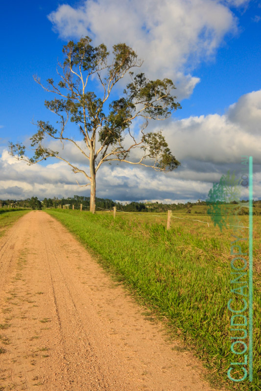 Rural road, Lake Tinaroo