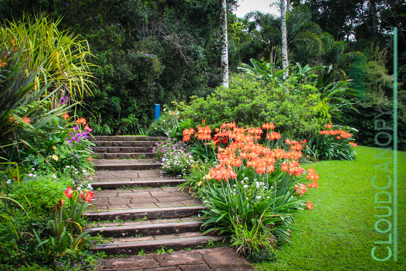 Gardens, Lake Barrine