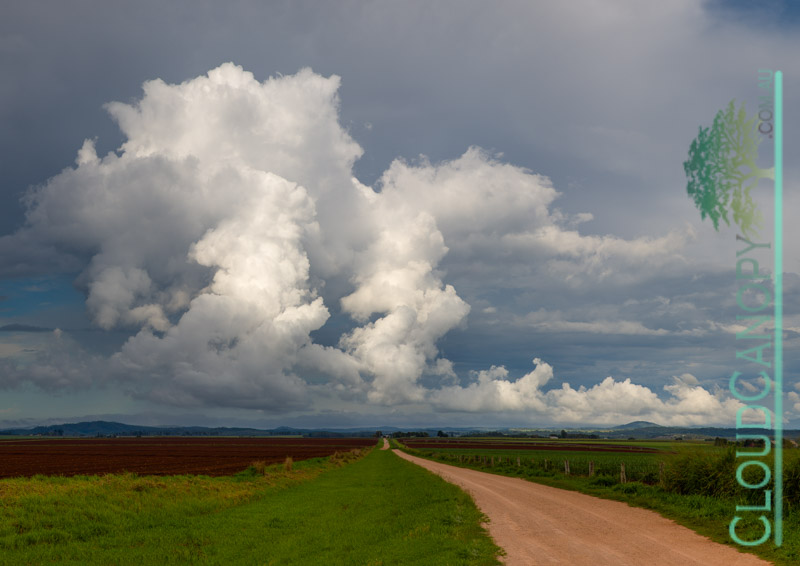 Summer storm, Yungaburra