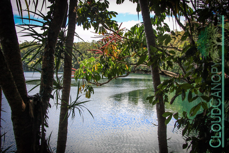 Lake Barrine
