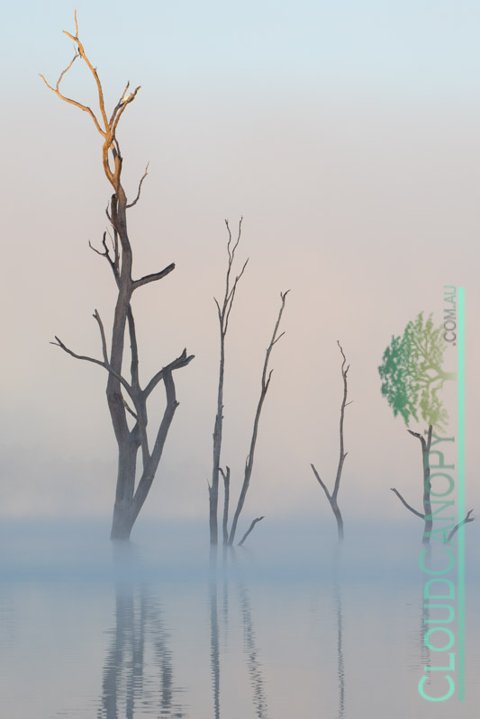 Dawn, Lake Tinaroo