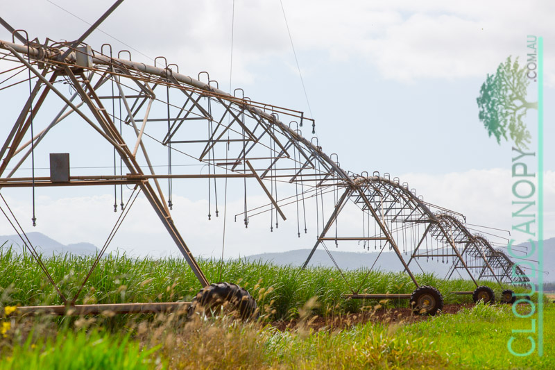 Overhead irrigator