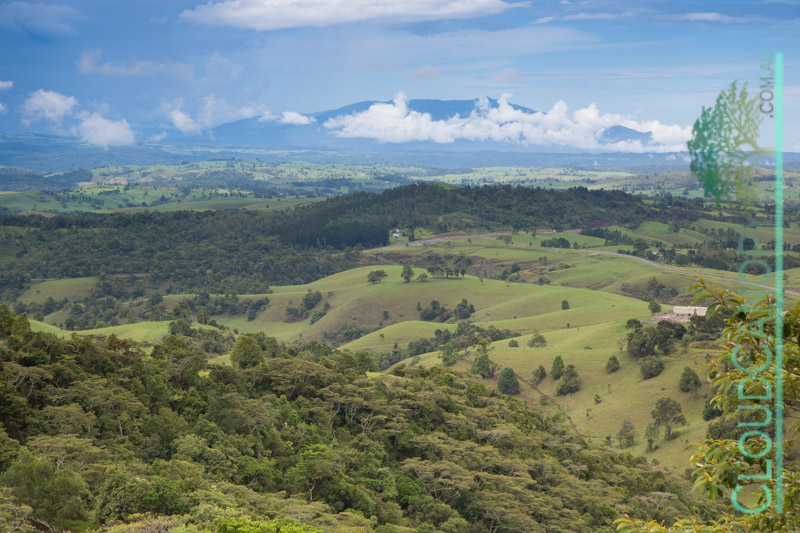 Lookout, Millaa Millaa