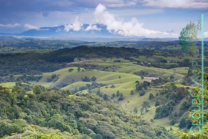 Lookout, Millaa Millaa
