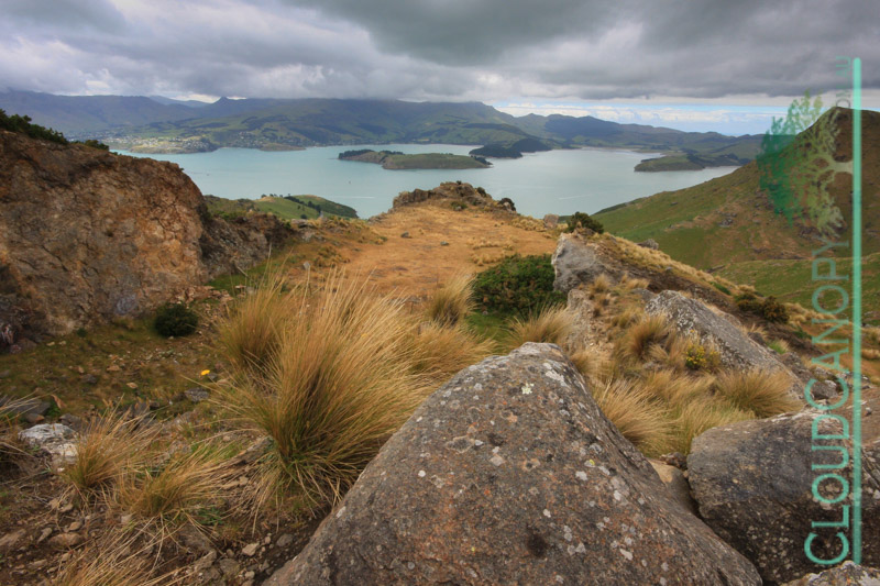 Akaroa Harbour from the Scenic Rim