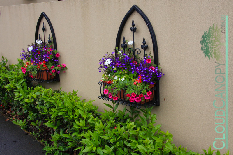 Akaroa Flower Boxes