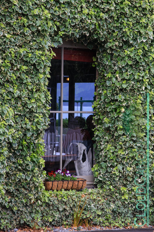 Restaurant Window, Akaroa
