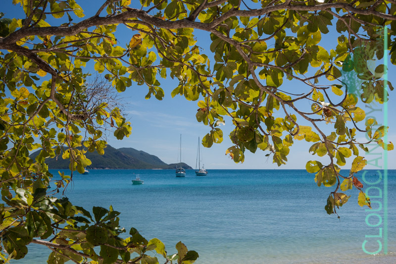 Fitzroy Island
