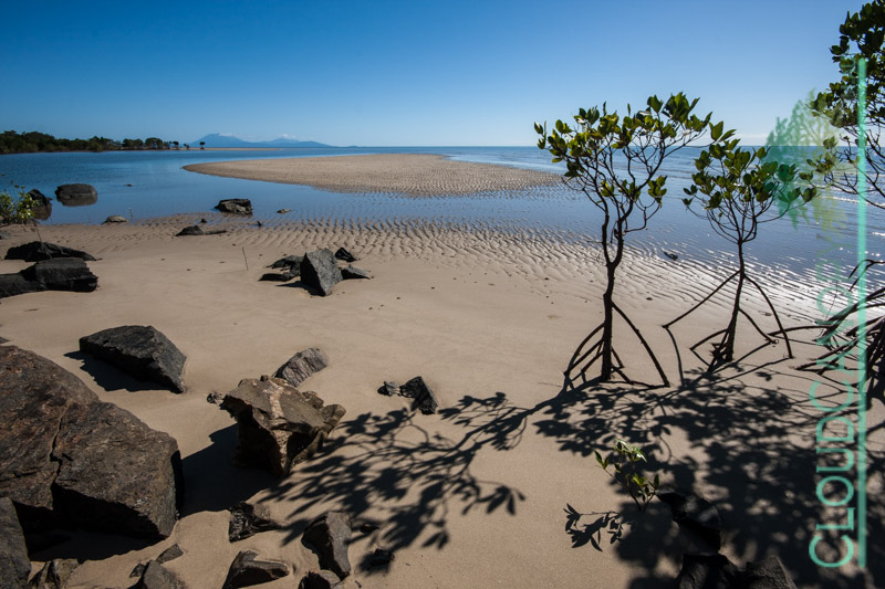 Yule Point