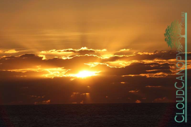 Sunrise, Palm Cove