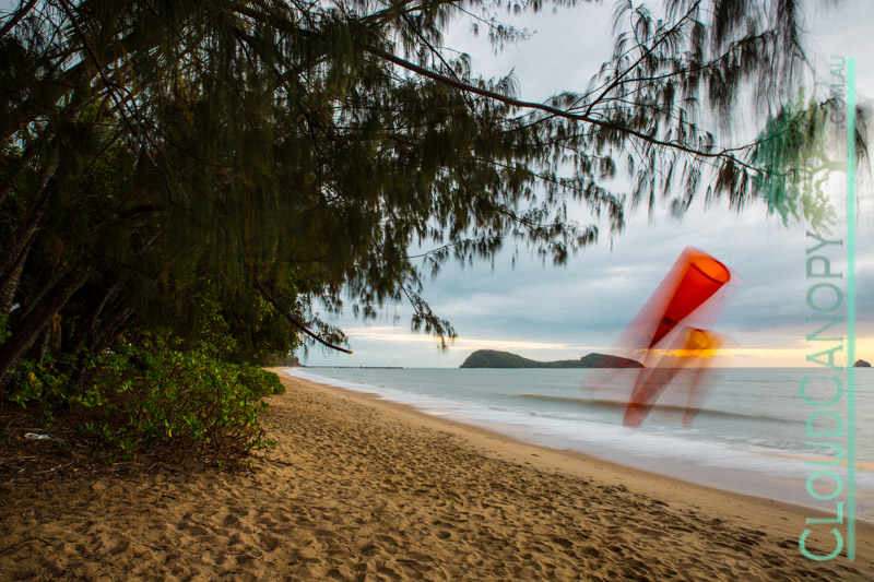 Morning, Palm Cove