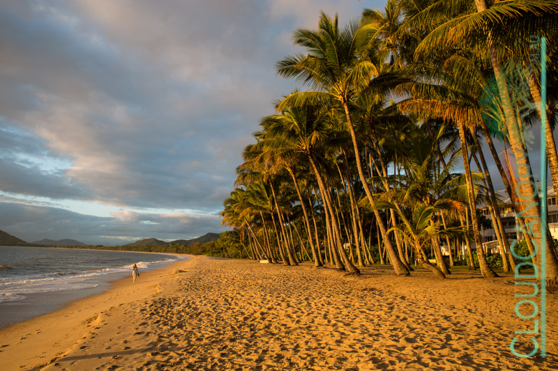 Morning, Palm Cove