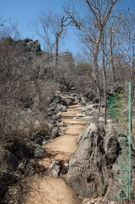 Caves Track
