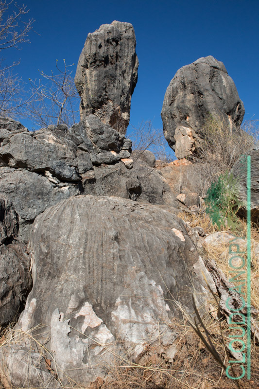 Limestone Formations