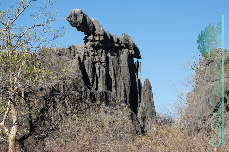 Limestone Formations