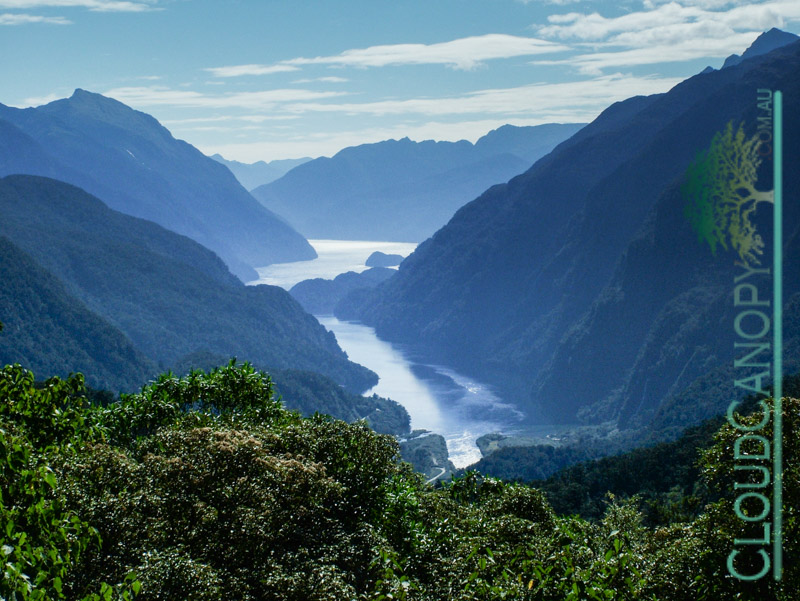 Doubtful Sound from Wilmot Pass
