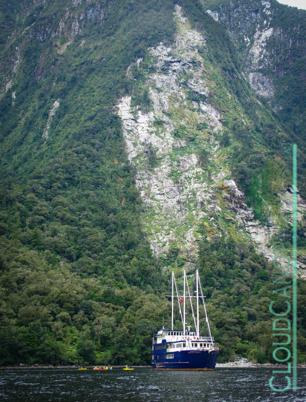 Fiordland Navigator