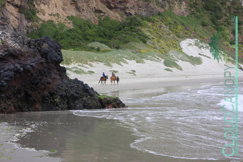 Spit Beach, Aramoana