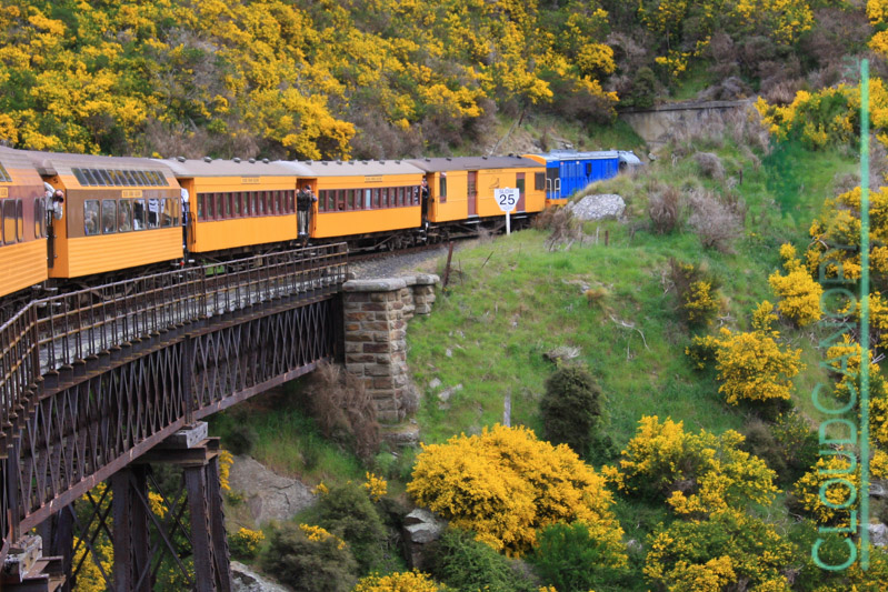 Taieri Gorge Railway