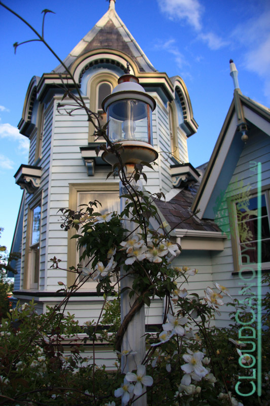 Timber House, Dunedin