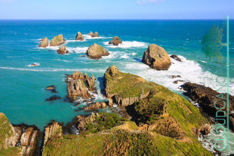 Kaka Point