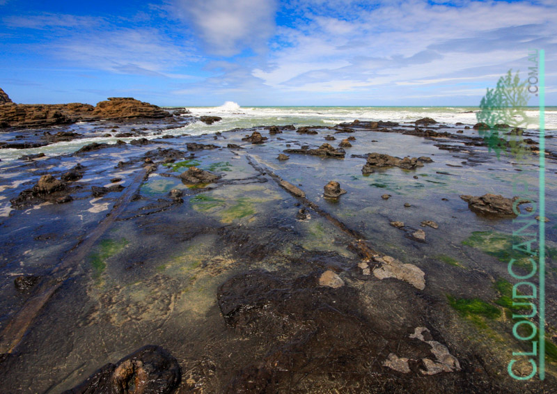 Curio Bay