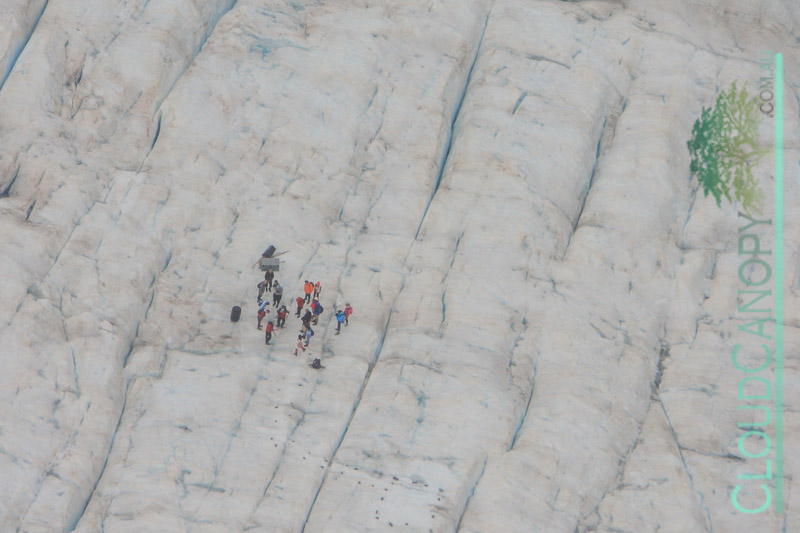 Hikers, Fox Glacier