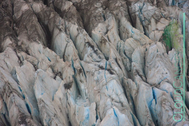 Fox Glacier