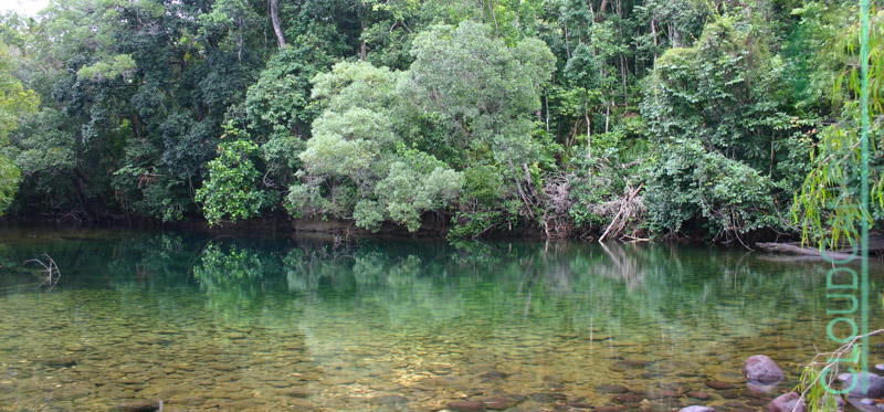 Fan Palm Creek