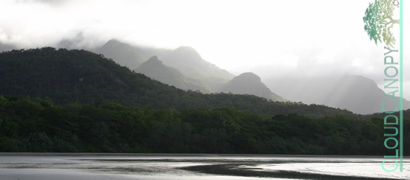 Mulligan Beach
