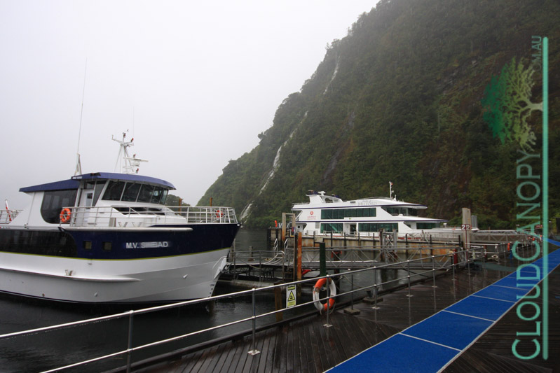 Tourist Boats