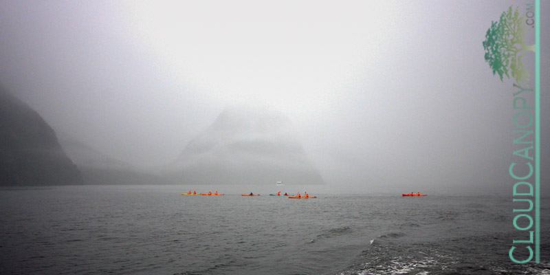 Kayaks on Milford Sound