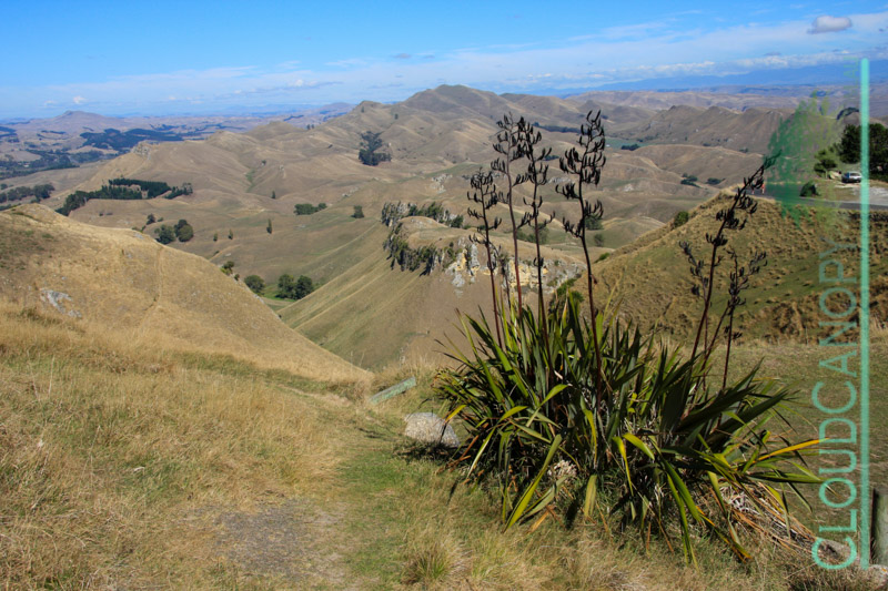 Te Mata Peak, Napier
