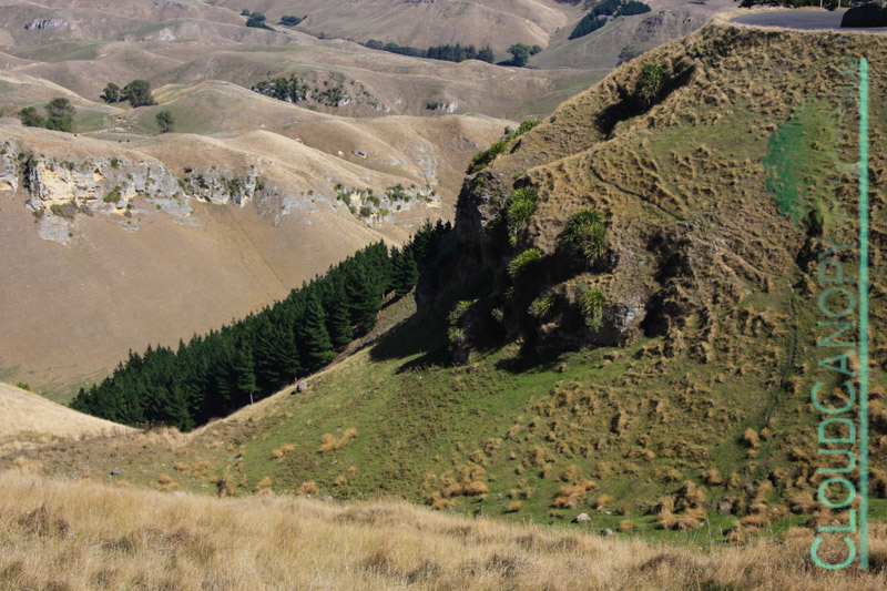 Te Mata Peak, Napier