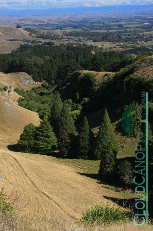 View from Te Mata Peak, Napier