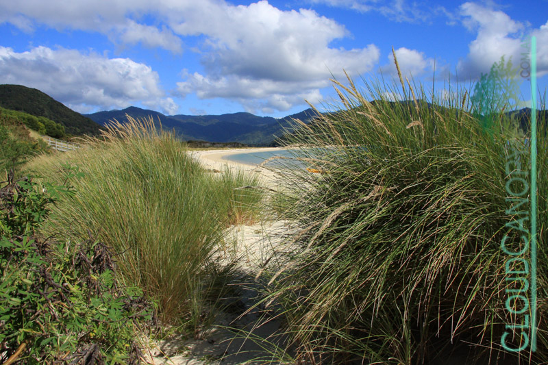 Abel Tasman National Park