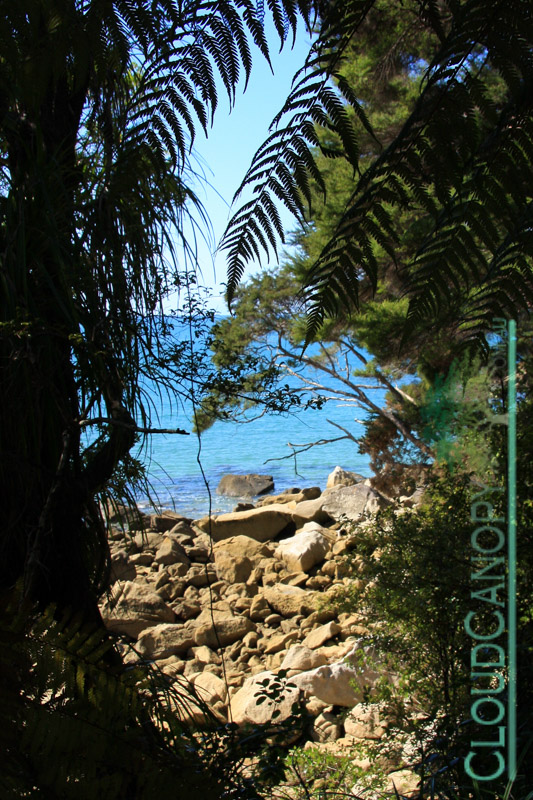 Abel Tasman National Park