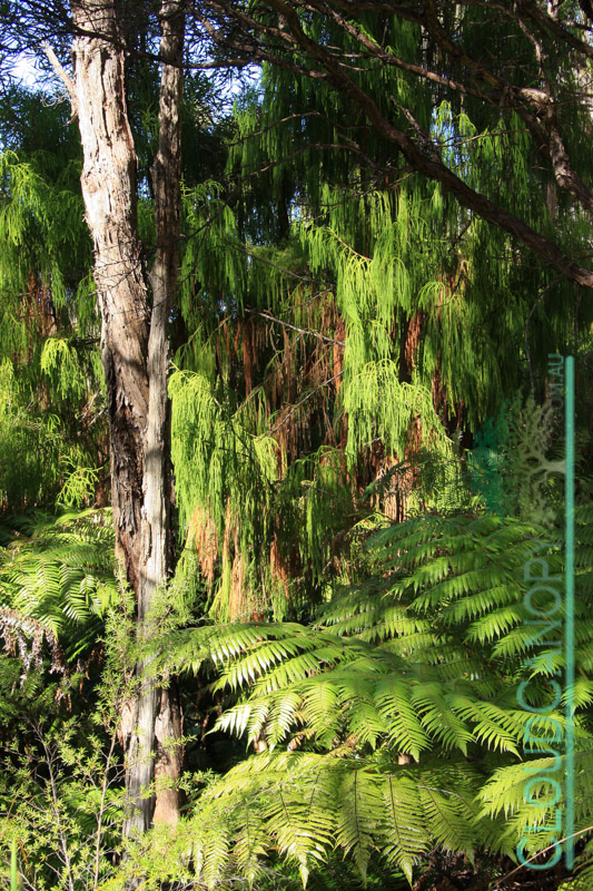 Abel Tasman National Park