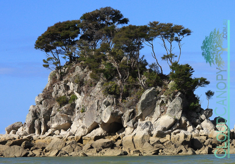 Abel Tasman National Park