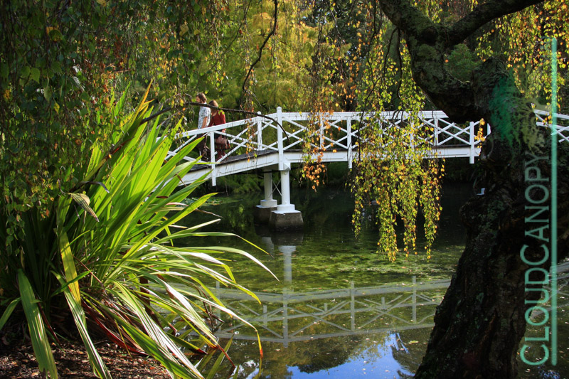 Botanical Reserve, Nelson
