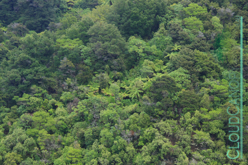 Marlborough Sound
